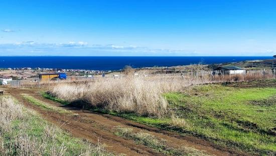 32 Luxusvillen Mit Herrlichem Meer-, Natur- Und Stadtblick, Für Das Projekt Geeignetes Grundstück