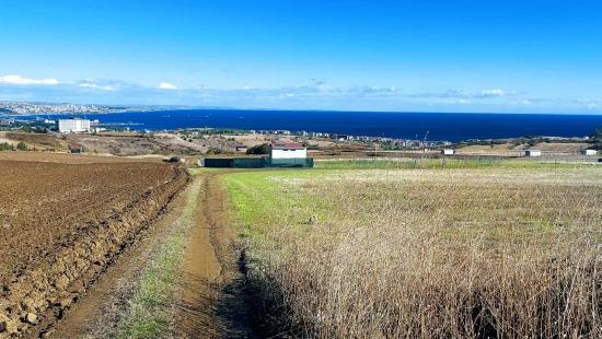 32 Luxusvillen Mit Herrlichem Meer-, Natur- Und Stadtblick, Für Das Projekt Geeignetes Grundstück