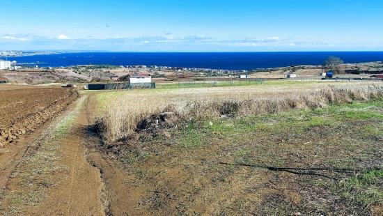 32 Luxusvillen Mit Herrlichem Meer-, Natur- Und Stadtblick, Für Das Projekt Geeignetes Grundstück