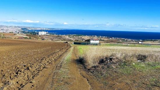 32 Luxusvillen Mit Herrlichem Meer-, Natur- Und Stadtblick, Für Das Projekt Geeignetes Grundstück