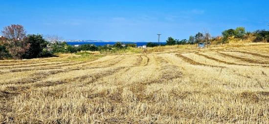 615 M² Großes Eckgrundstück Zum Schnäppchenpreis In Der Nähe Des Flughafens