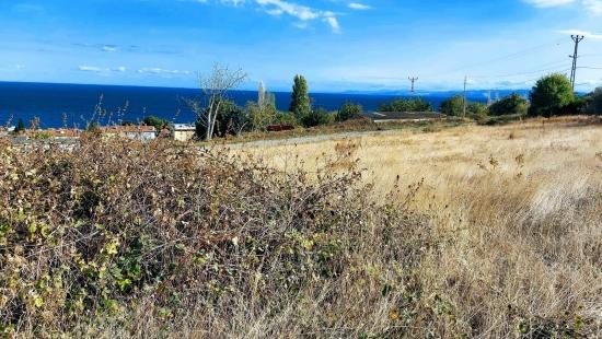 Triplex-Grundstücke Bieten Eine Großartige Gelegenheit Für Alle, Die Mit Geringem Kapital Ein Freistehendes Haus Bauen Möchten.