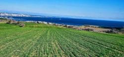 Gelände Zu Verkaufen in Barbaros Bz. Süleymanpaşa Kumbağ - Gehäuse-Zonierung - 34.500 m²