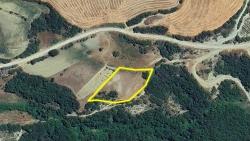Feld Zu Verkaufen in Avşar Bz. Süleymanpaşa - Feld-Zonierung - 2.850 m²