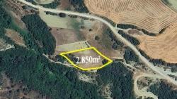 Feld Zu Verkaufen in Avşar Bz. Süleymanpaşa - Feld-Zonierung - 2.850 m²