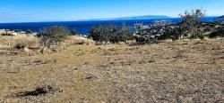 Land Zu Verkaufen in Barbaros Bz. Süleymanpaşa Kumbağ - Gehäuse-Zonierung - 758 m²