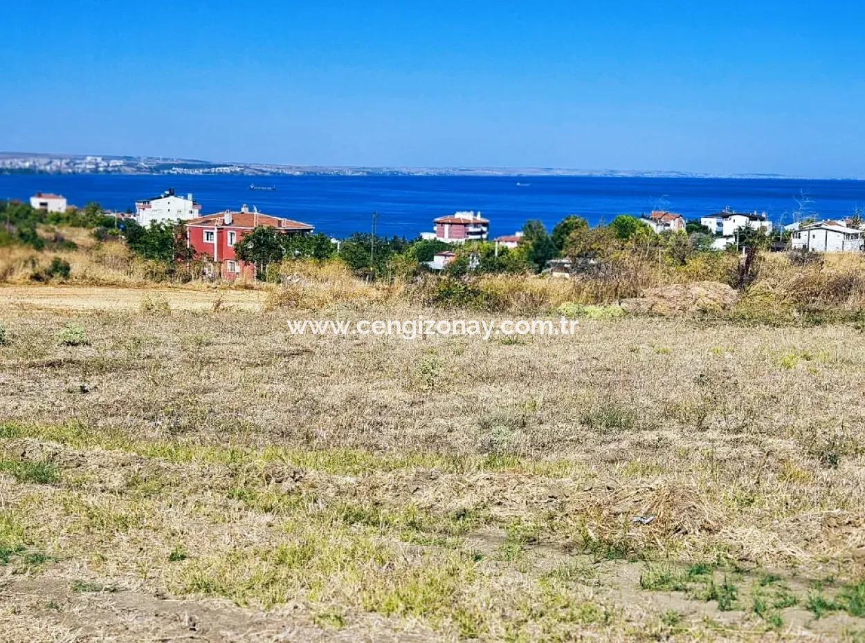 Coupon Grundstück Geeignet Für Den Bau Eines Einfamilienhauses Mit Vollem Meerblick Zum Dringenden Verkauf In Tekirdag Barbarosta