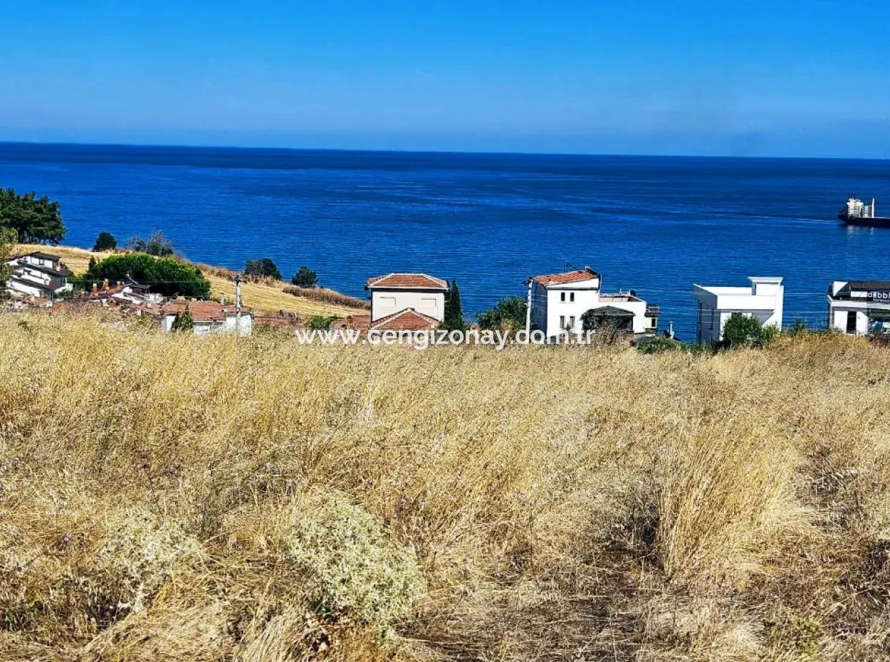 Coupon Grundstück Geeignet Für Den Bau Eines Einfamilienhauses Mit Vollem Meerblick Zum Dringenden Verkauf In Tekirdag Barbarosta