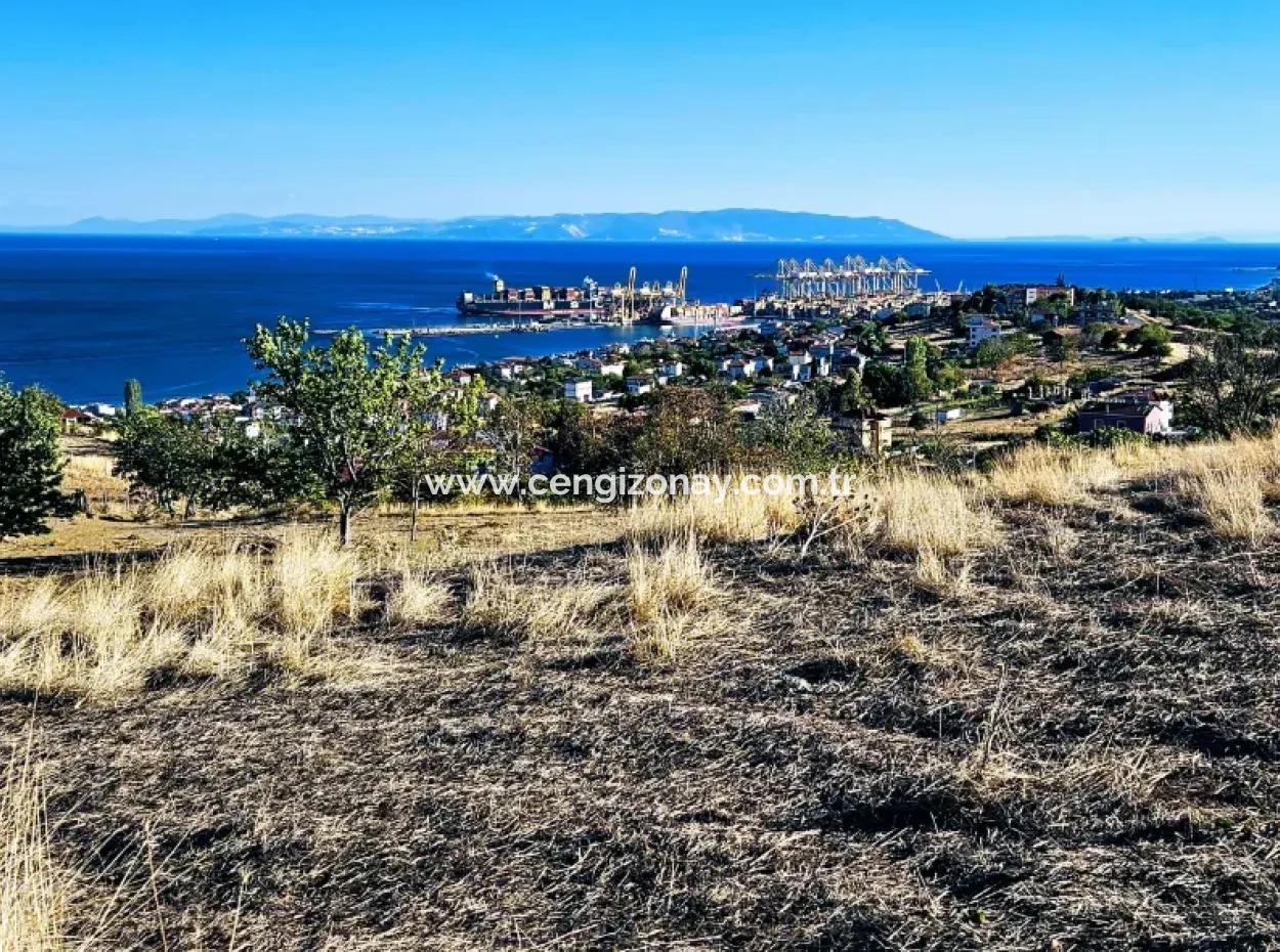 532 M2 Eckgrundstück Zum Verkauf In Tekirdag Süleymanpaşa Barbaros Nachbarschaft Mit Herrlichem Meer- Und Naturblick