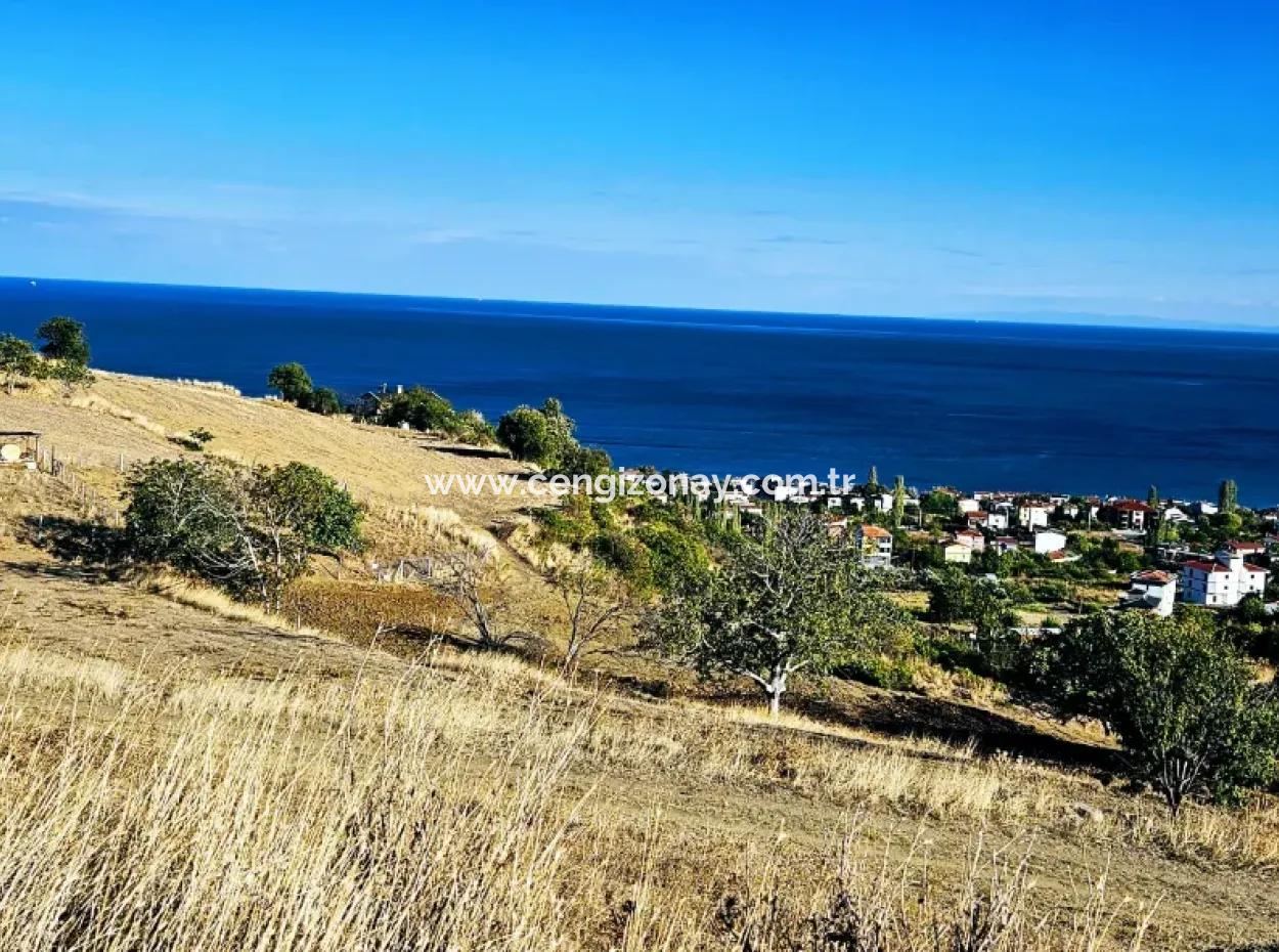 532 M2 Eckgrundstück Zum Verkauf In Tekirdag Süleymanpaşa Barbaros Nachbarschaft Mit Herrlichem Meer- Und Naturblick