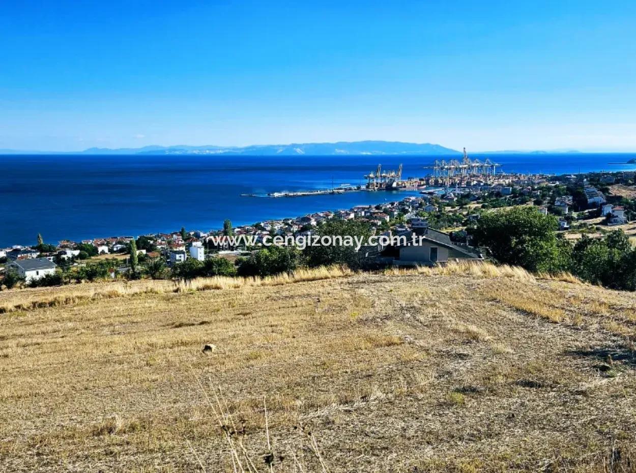 25 Wohnungen Mit Vollem Meerblick Gutscheinplatz Zum Dringenden Verkauf In Tekirdag Barbarosta