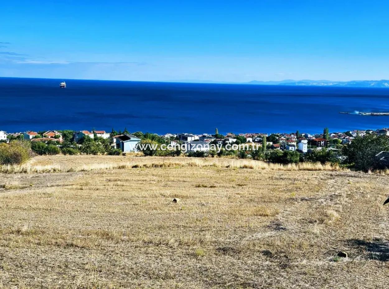 25 Wohnungen Mit Vollem Meerblick Gutscheinplatz Zum Dringenden Verkauf In Tekirdag Barbarosta