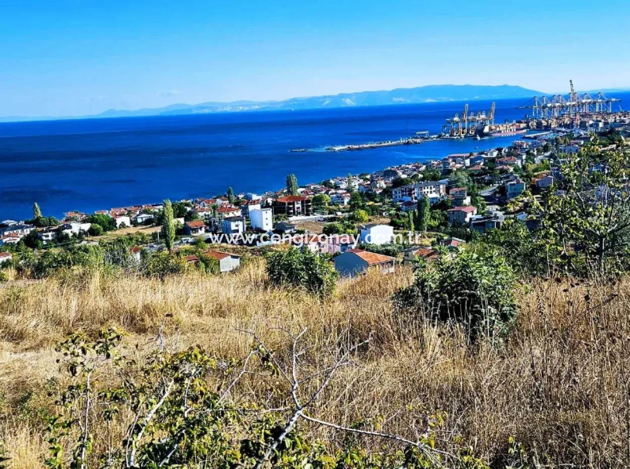 25 Wohnungen Mit Vollem Meerblick Gutscheinplatz Zum Dringenden Verkauf In Tekirdag Barbarosta