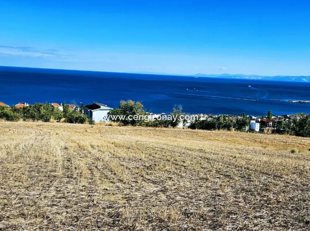 25 Wohnungen Mit Vollem Meerblick Gutscheinplatz Zum Dringenden Verkauf In Tekirdag Barbarosta