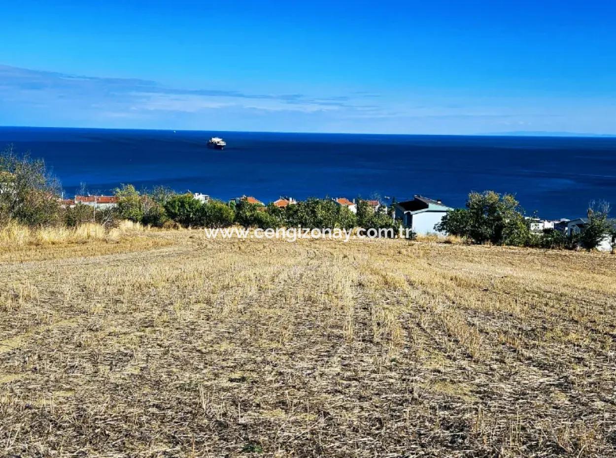 25 Wohnungen Mit Vollem Meerblick Gutscheinplatz Zum Dringenden Verkauf In Tekirdag Barbarosta