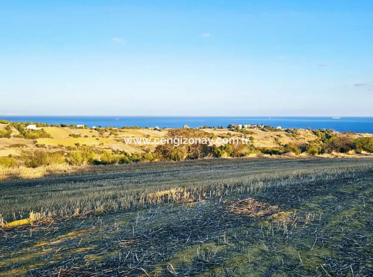 Der Hafen Von Asyaport Ist Ein Land Mit Hoher Gewinngarantie Für Seine Investoren Im Rahmen Des Aktuellen Flächennutzungsplans