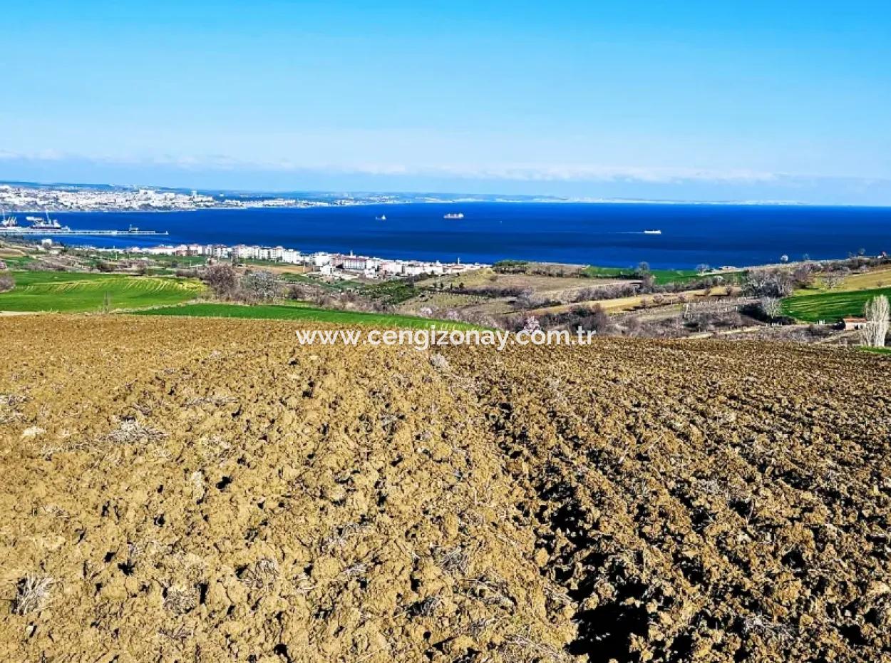Tekirdag Barbarosta Luxusvilla Projekt Yap. Geben Sie Den Bauunternehmern Eine Wohnung Und Bauen Sie Eine Gewinnbringende Villa Mit Vollem Meerblick