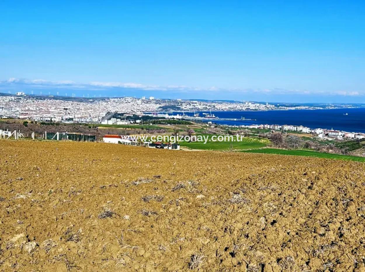 Tekirdag Barbarosta Luxusvilla Projekt Yap. Geben Sie Den Bauunternehmern Eine Wohnung Und Bauen Sie Eine Gewinnbringende Villa Mit Vollem Meerblick