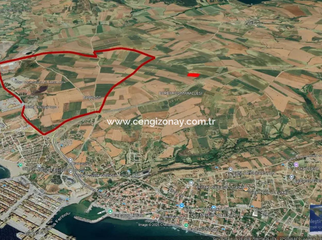 Investitionsmöglichkeit Für Gewerbe- Und Industriegebiete Im Rahmen Des Aktuellen Bebauungsplans Des Asyaport-Hafens In Der Region Tekirdağ Barbaros