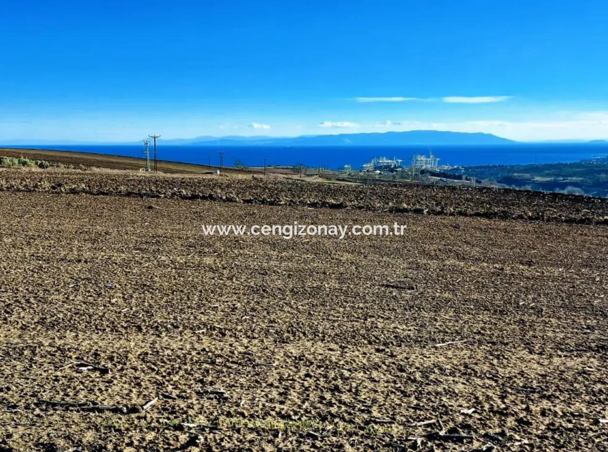 5.400 M2 Hoher Gewinn Garantierte Gelegenheit Platz Im Bereich Der Fabriken Für Den Dringenden Verkauf