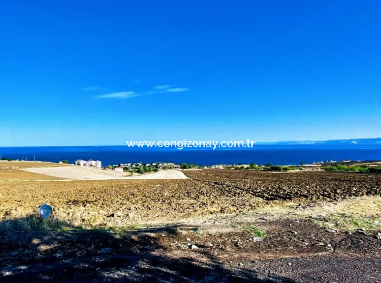 Hohe Gewinngarantie Investieren Sie In 44 Wohnungen Im Massenwohnungsbereich Geben Sie Auftragnehmern Das Doppelte Ihrer Gewinne