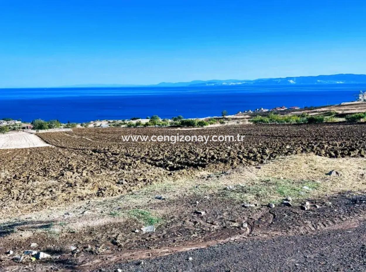 Hohe Gewinngarantie Investieren Sie In 44 Wohnungen Im Massenwohnungsbereich Geben Sie Auftragnehmern Das Doppelte Ihrer Gewinne
