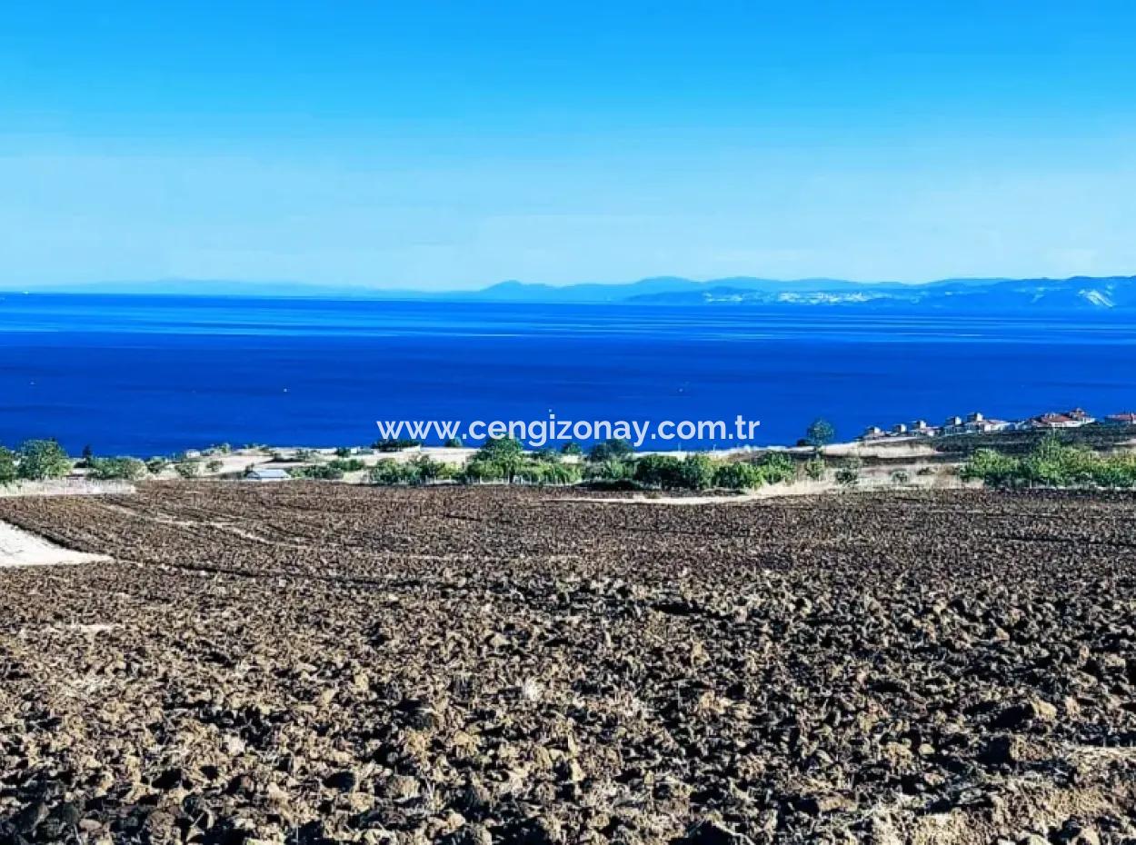 Hohe Gewinngarantie Für Den Investor Für Den Notverkauf In Tekirdag Barbrosta 50 Wohnungen Von Genossenschaft Und Grundstück Geeignet Für Den Bau