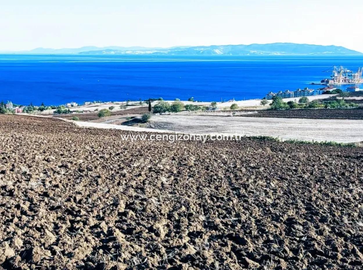 Hohe Gewinngarantie Investieren Sie In 44 Wohnungen Im Massenwohnungsbereich Geben Sie Auftragnehmern Das Doppelte Ihrer Gewinne