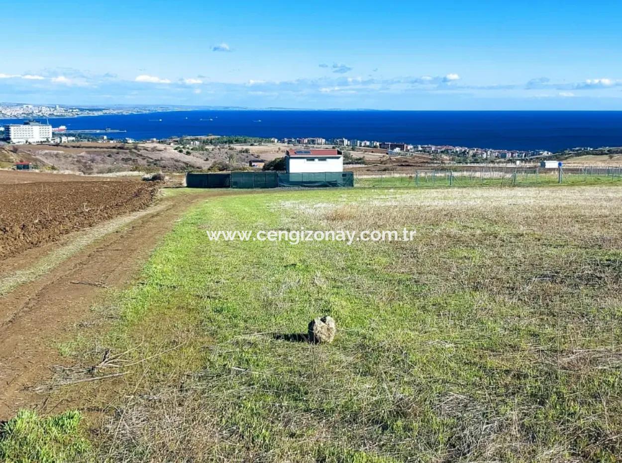 Bewerben Sie Sich Für Ein Luxusvillen-Projekt Zum Dringenden Verkauf, Bieten Sie Eine Hohe Lage In Kaznç, Einen Herrlichen, Vollständig Vollen Blick Auf Das Meer Und Die Natur