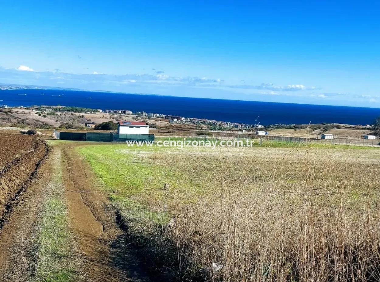 Bewerben Sie Sich Für Ein Luxusvillen-Projekt Zum Dringenden Verkauf, Bieten Sie Eine Hohe Lage In Kaznç, Einen Herrlichen, Vollständig Vollen Blick Auf Das Meer Und Die Natur