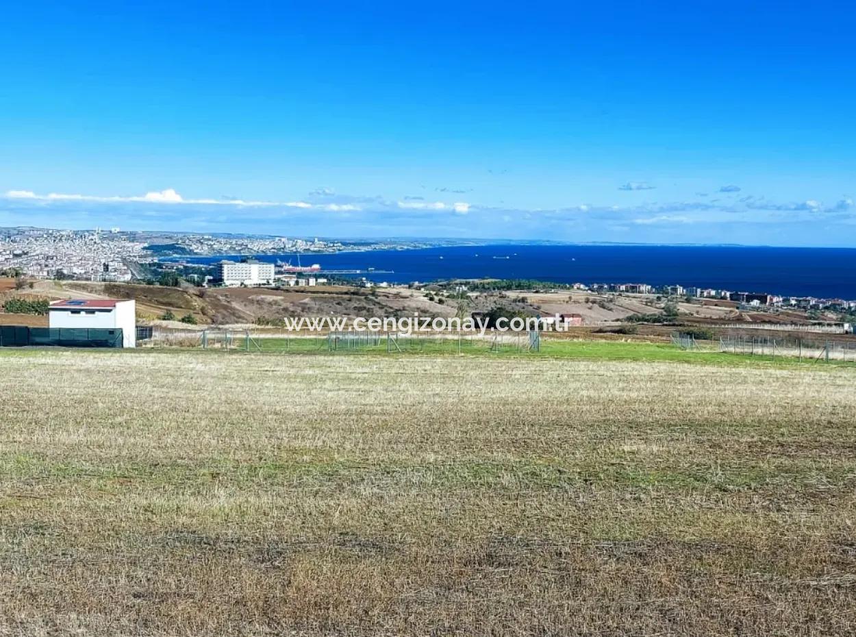 Bewerben Sie Sich Für Ein Luxusvillen-Projekt Zum Dringenden Verkauf, Bieten Sie Eine Hohe Lage In Kaznç, Einen Herrlichen, Vollständig Vollen Blick Auf Das Meer Und Die Natur