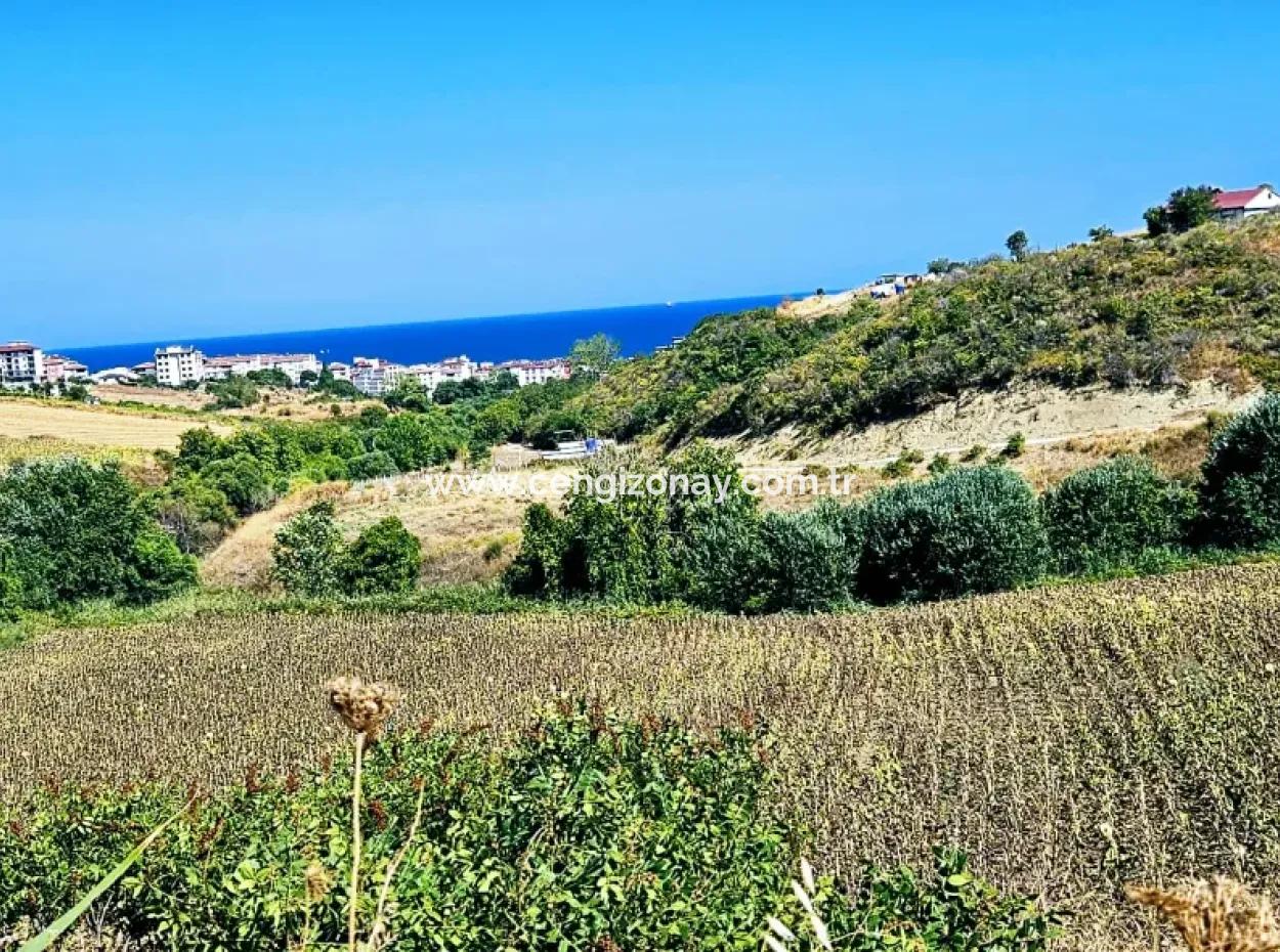 9.100 M2 Dringender Verkauf In Tekirdag Barbarosta, Egal Ob Sie Ein Grundstück Machen Oder Eine Villa Bauen Möchten Hohe Gewinngarantie