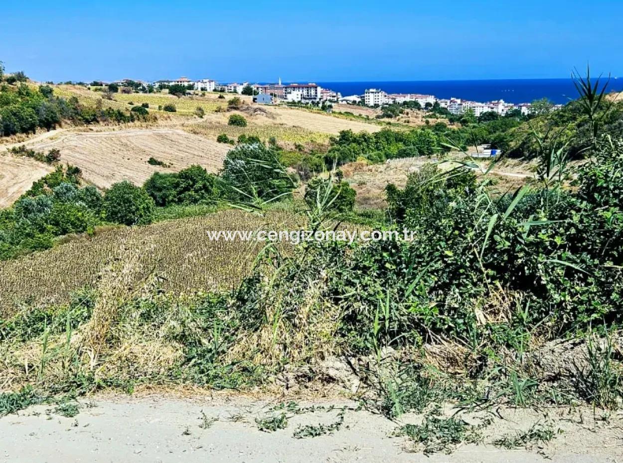 9.100 M2 Dringender Verkauf In Tekirdag Barbarosta, Egal Ob Sie Ein Grundstück Machen Oder Eine Villa Bauen Möchten Hohe Gewinngarantie