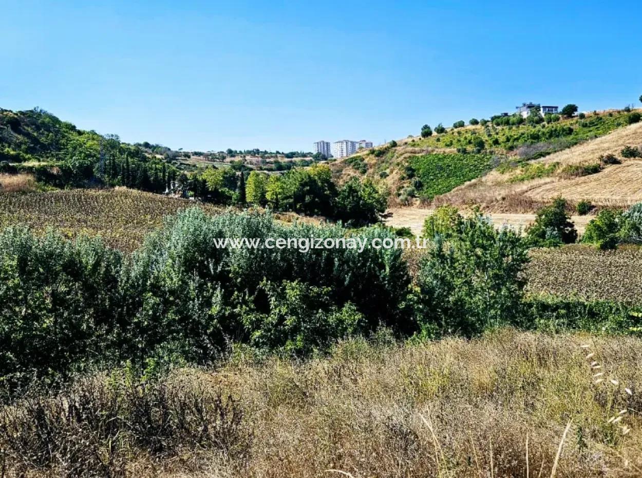 9.100 M2 Dringender Verkauf In Tekirdag Barbarosta, Egal Ob Sie Ein Grundstück Machen Oder Eine Villa Bauen Möchten Hohe Gewinngarantie