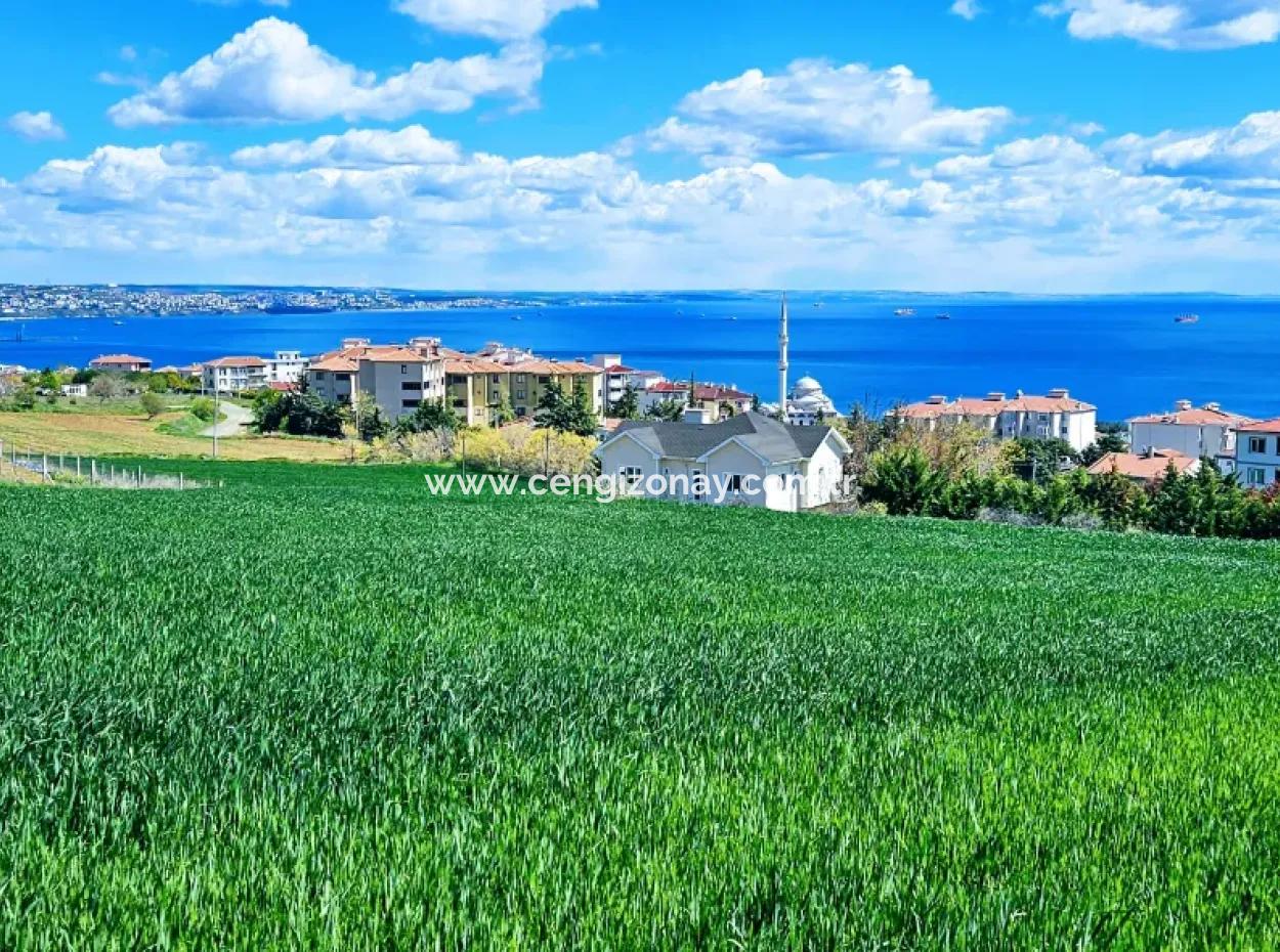 Herrlicher Blick Auf Das Meer Und Die Natur Oder Genossenschaft. Egal, Ob Sie Eine Luxusvilla Bauen Möchten. 40 Wohnungen 6.400 Wohngrundstücke