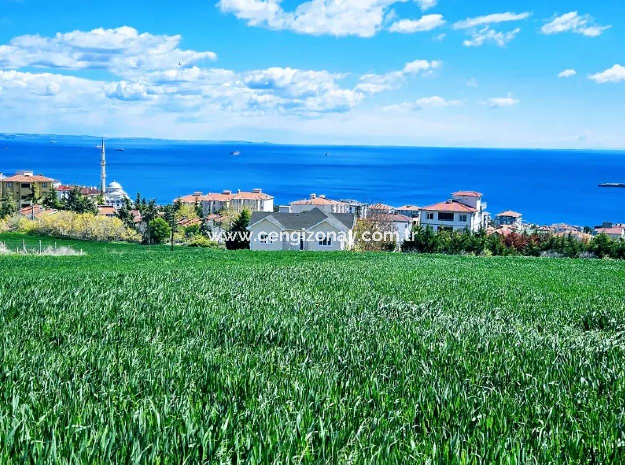 Herrlicher Blick Auf Das Meer Und Die Natur Oder Genossenschaft. Egal, Ob Sie Eine Luxusvilla Bauen Möchten. 40 Wohnungen 6.400 Wohngrundstücke