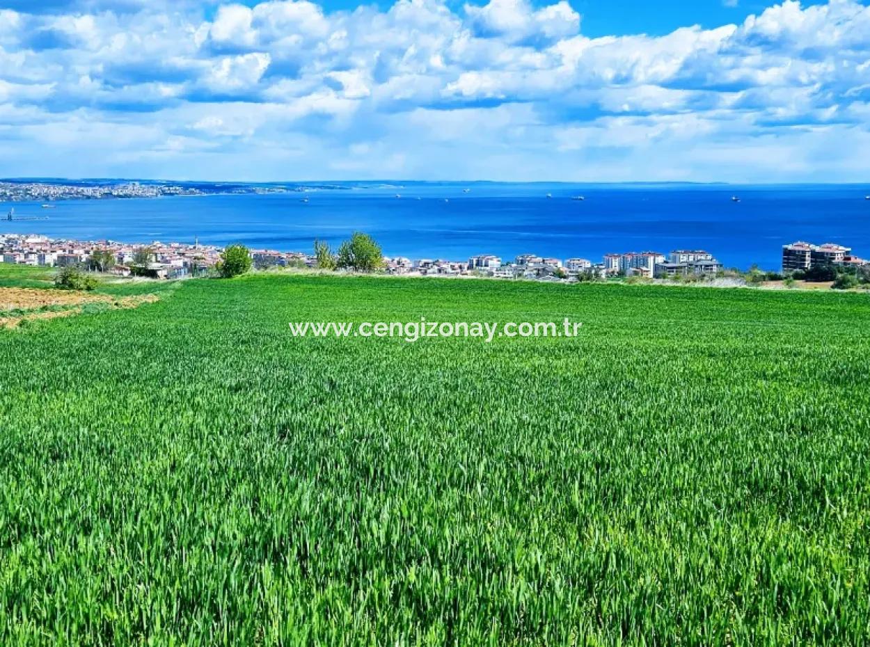 Herrlicher Blick Auf Das Meer Und Die Natur Oder Genossenschaft. Egal, Ob Sie Eine Luxusvilla Bauen Möchten. 40 Wohnungen 6.400 Wohngrundstücke