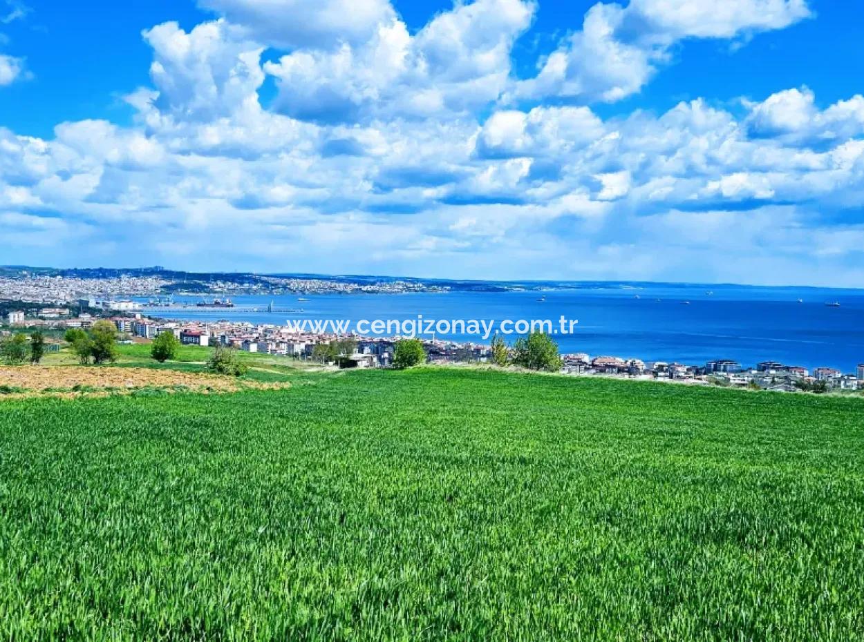 Herrlicher Blick Auf Das Meer Und Die Natur Oder Genossenschaft. Egal, Ob Sie Eine Luxusvilla Bauen Möchten. 40 Wohnungen 6.400 Wohngrundstücke