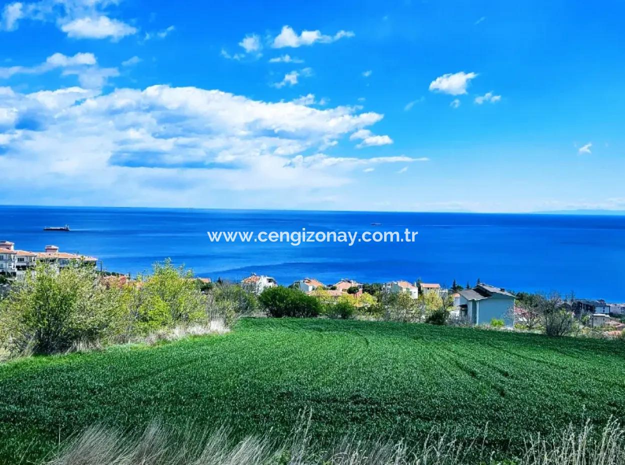 Vollständige Meeres- Und Naturlandschaftsinfrastruktur Bereit Luxus-, 45-Wohnungen-, Genossenschafts- Und Coupon-Grundstücke, Die Für Den Bau Vor Ort Geeignet Sind