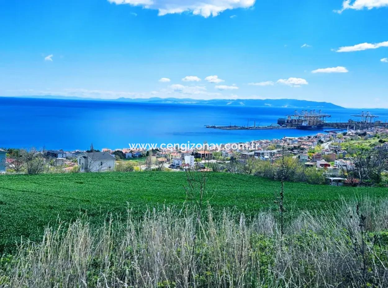 Vollständige Meeres- Und Naturlandschaftsinfrastruktur Bereit Luxus-, 45-Wohnungen-, Genossenschafts- Und Coupon-Grundstücke, Die Für Den Bau Vor Ort Geeignet Sind