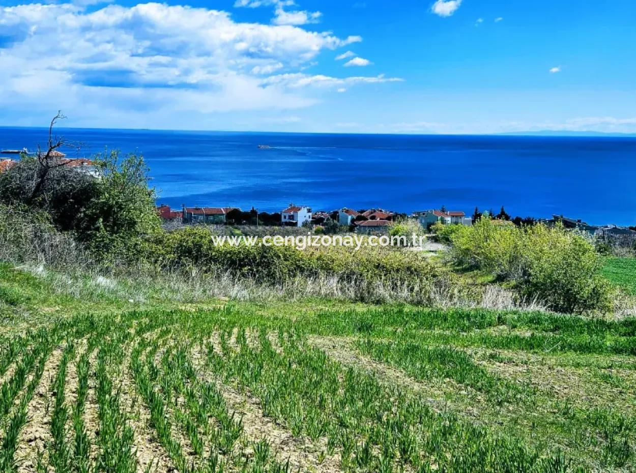 Vollständige Meeres- Und Naturlandschaftsinfrastruktur Bereit Luxus-, 45-Wohnungen-, Genossenschafts- Und Coupon-Grundstücke, Die Für Den Bau Vor Ort Geeignet Sind