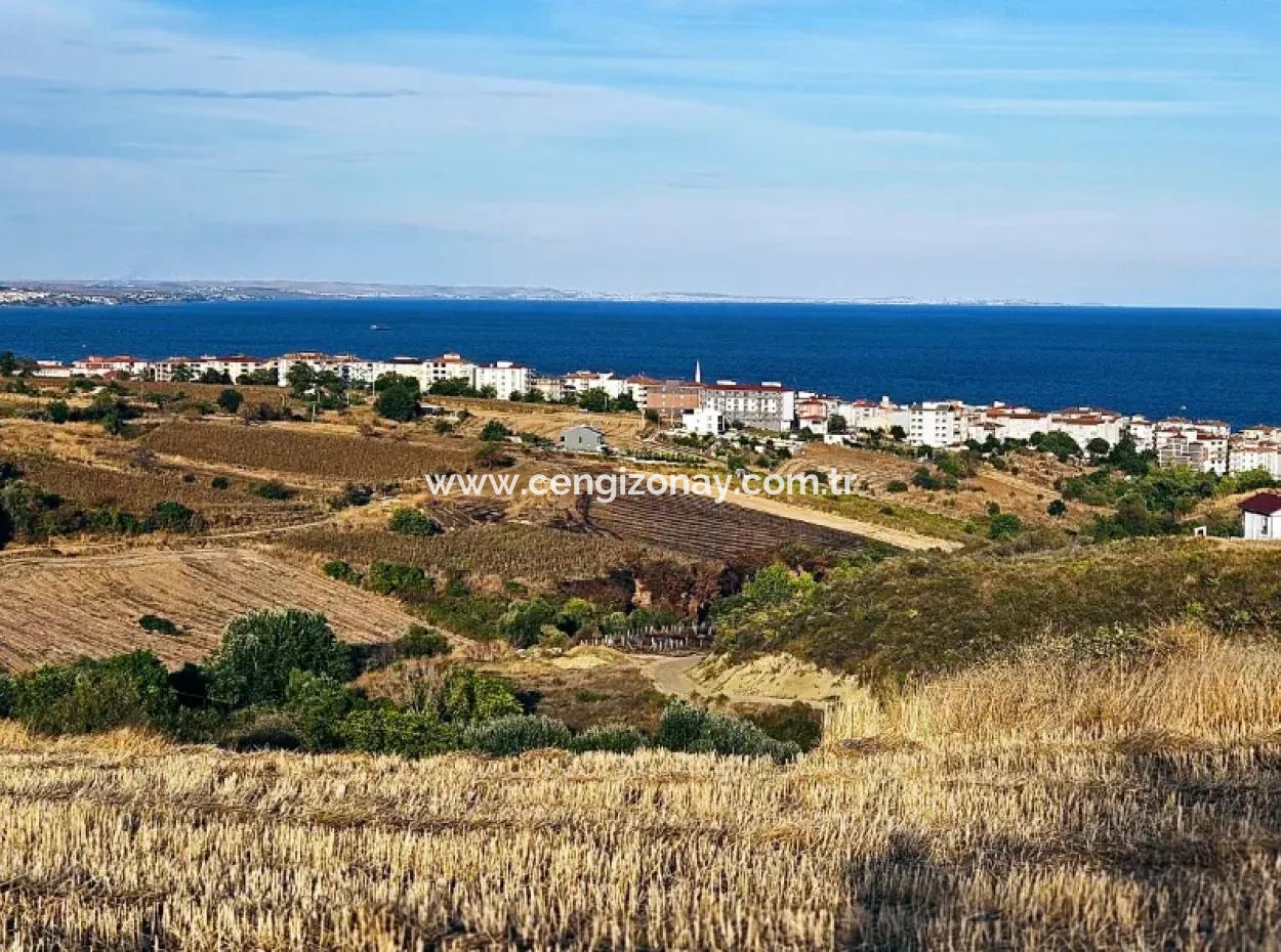 1.150 M² Großes Grundstück In Der Nähe Des Ramada Hotels In Tekirdag Suleymanpasa Barbaros - Topagac