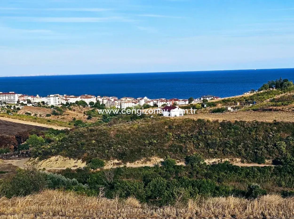 1.150 M² Großes Grundstück In Der Nähe Des Ramada Hotels In Tekirdag Suleymanpasa Barbaros - Topagac