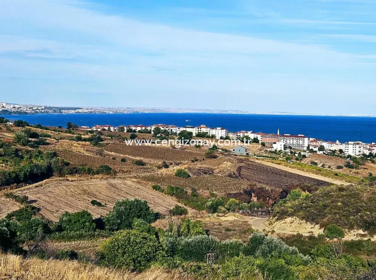 1.150 M² Großes Grundstück In Der Nähe Des Ramada Hotels In Tekirdag Suleymanpasa Barbaros - Topagac