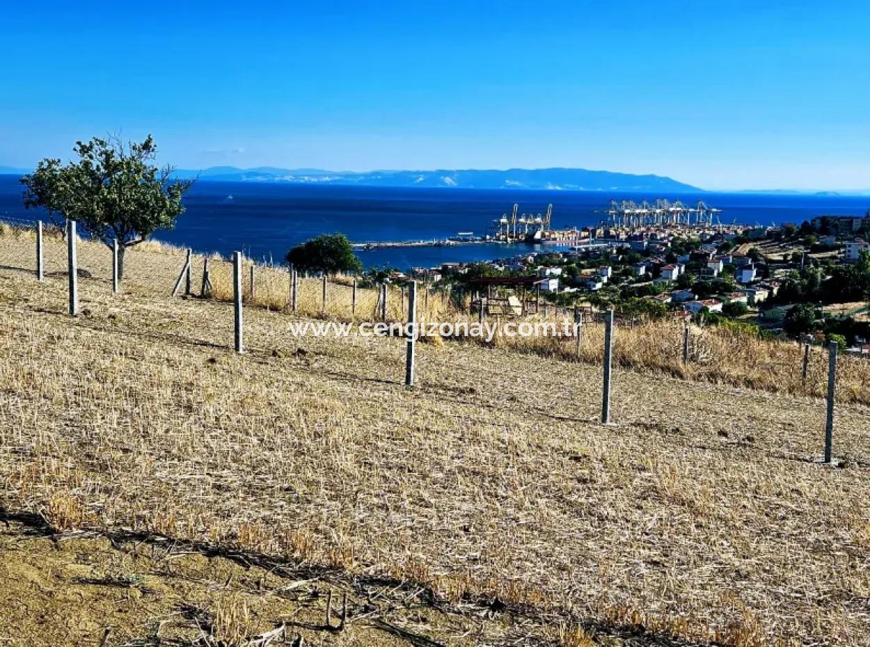 Full Sea View Swap Cash 765 M2 Opportunity Coupon Grundstück Zum Dringenden Verkauf