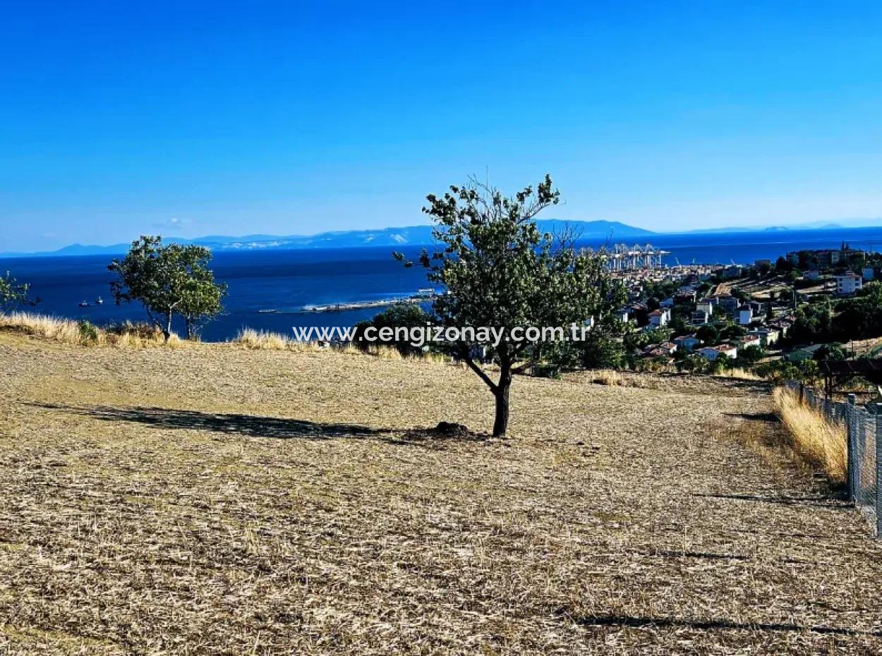 Full Sea View Swap Cash 765 M2 Opportunity Coupon Grundstück Zum Dringenden Verkauf