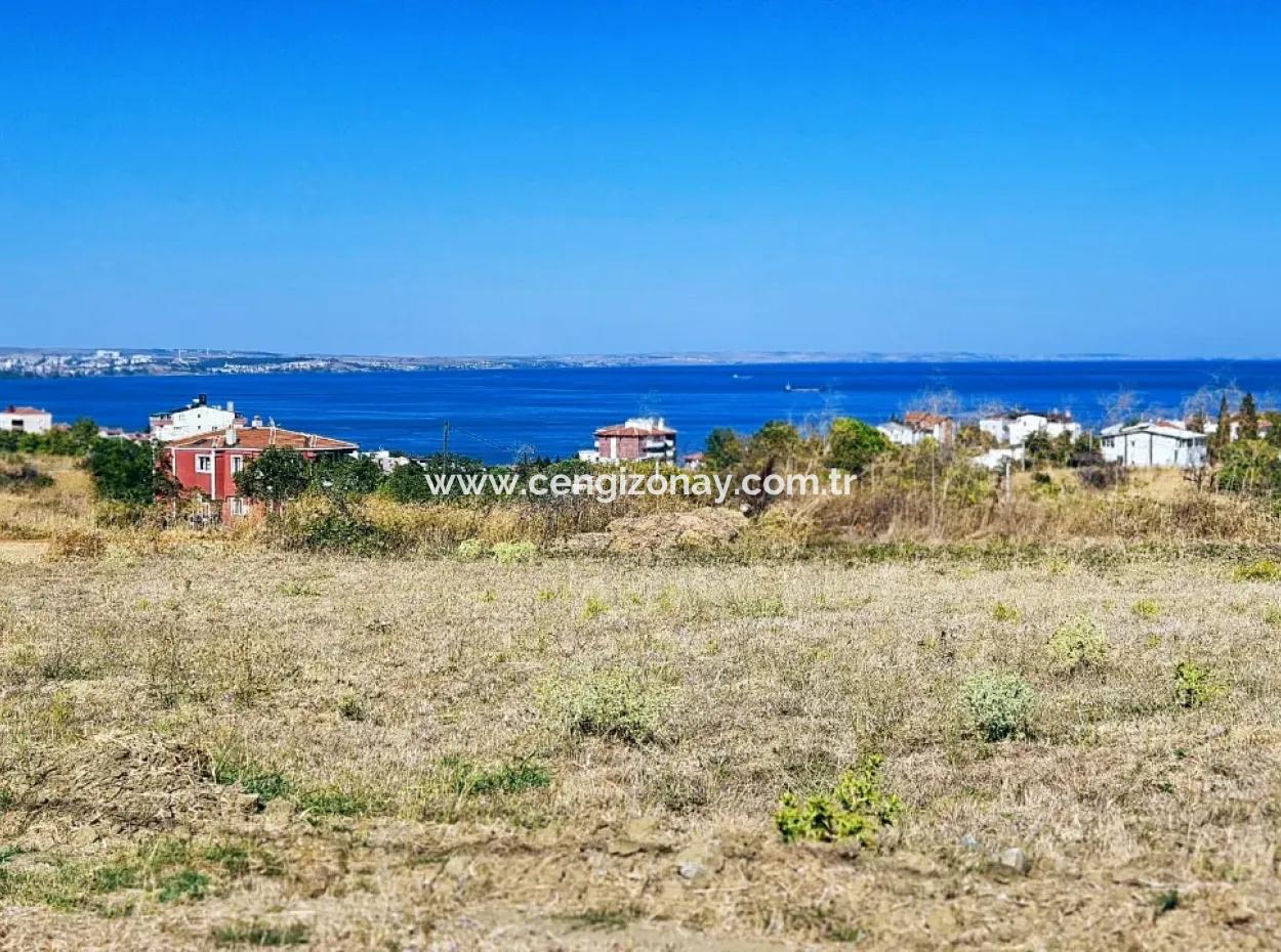 Gelegenheit Grundstück Geeignet Für Den Bau Eines Einfamilienhauses In Herrlicher Lage In Tekirdag Barbarosta, In Der Nähe Des Meeres