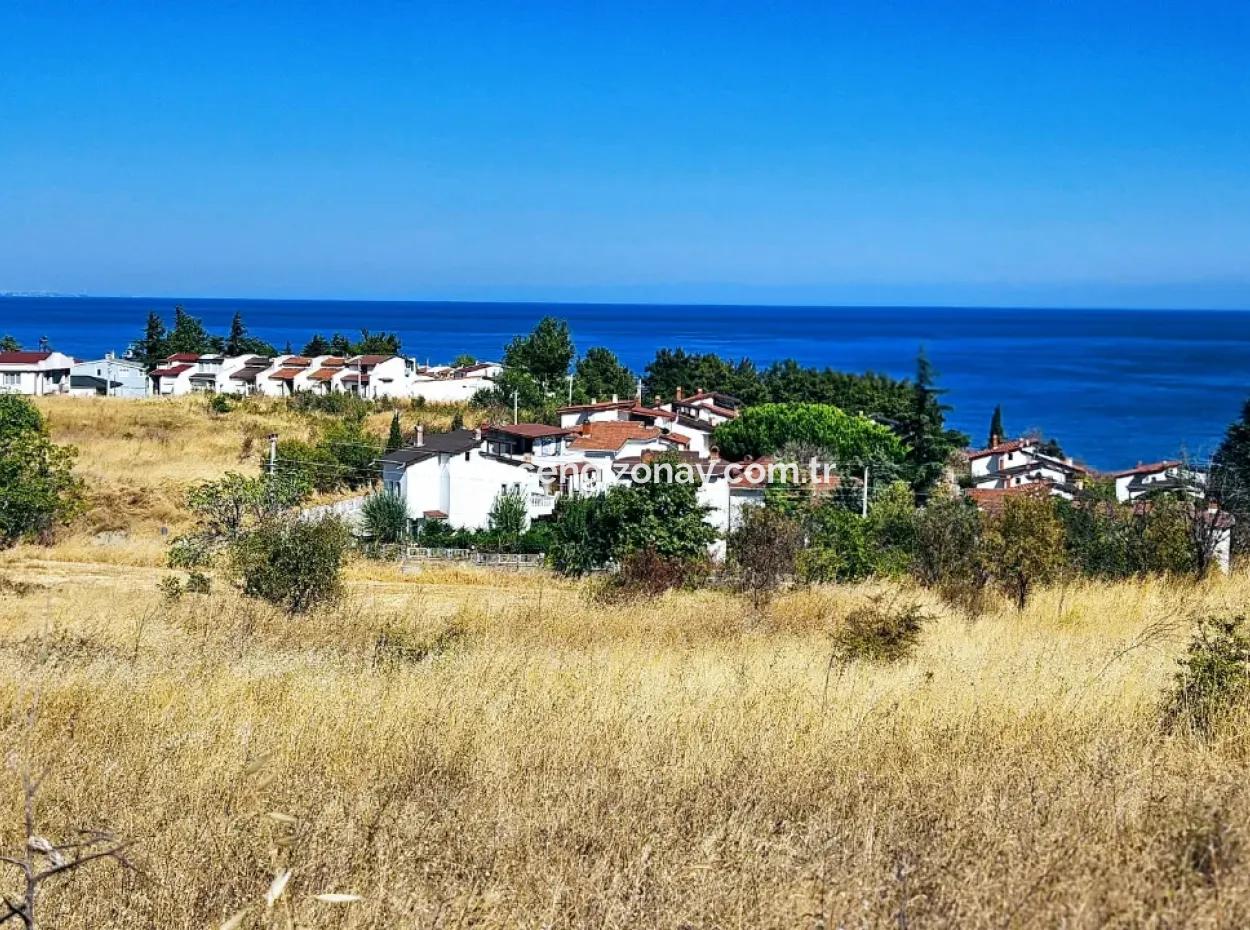 Gelegenheit Grundstück Geeignet Für Den Bau Eines Einfamilienhauses In Herrlicher Lage In Tekirdag Barbarosta, In Der Nähe Des Meeres