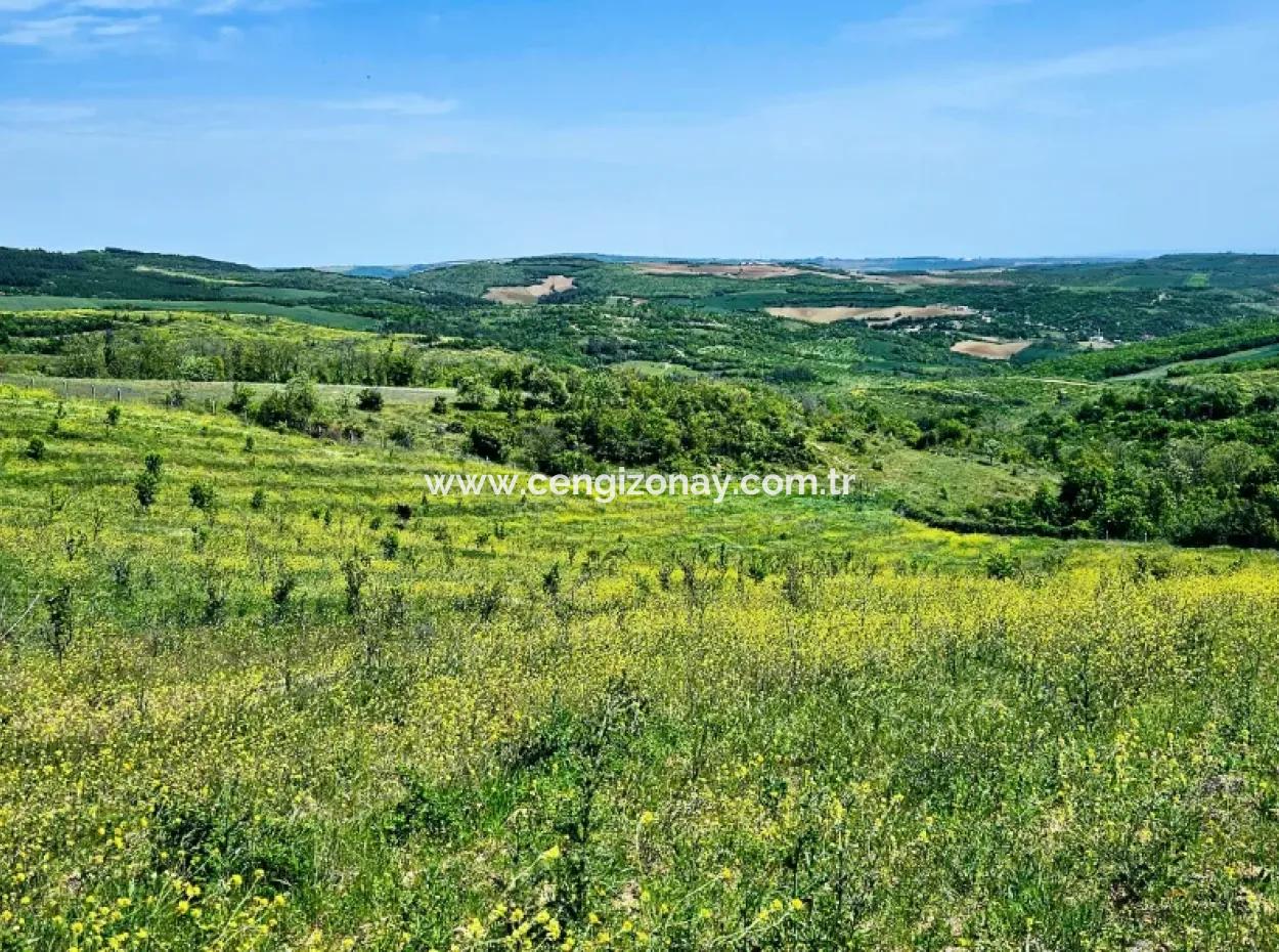 Eine Grossartige Gelegenheit, Ihren Bauernhof In Ihrer Familie Für Den Dringenden Verkauf Aufzubauen 2.600 Hektar Weidefront