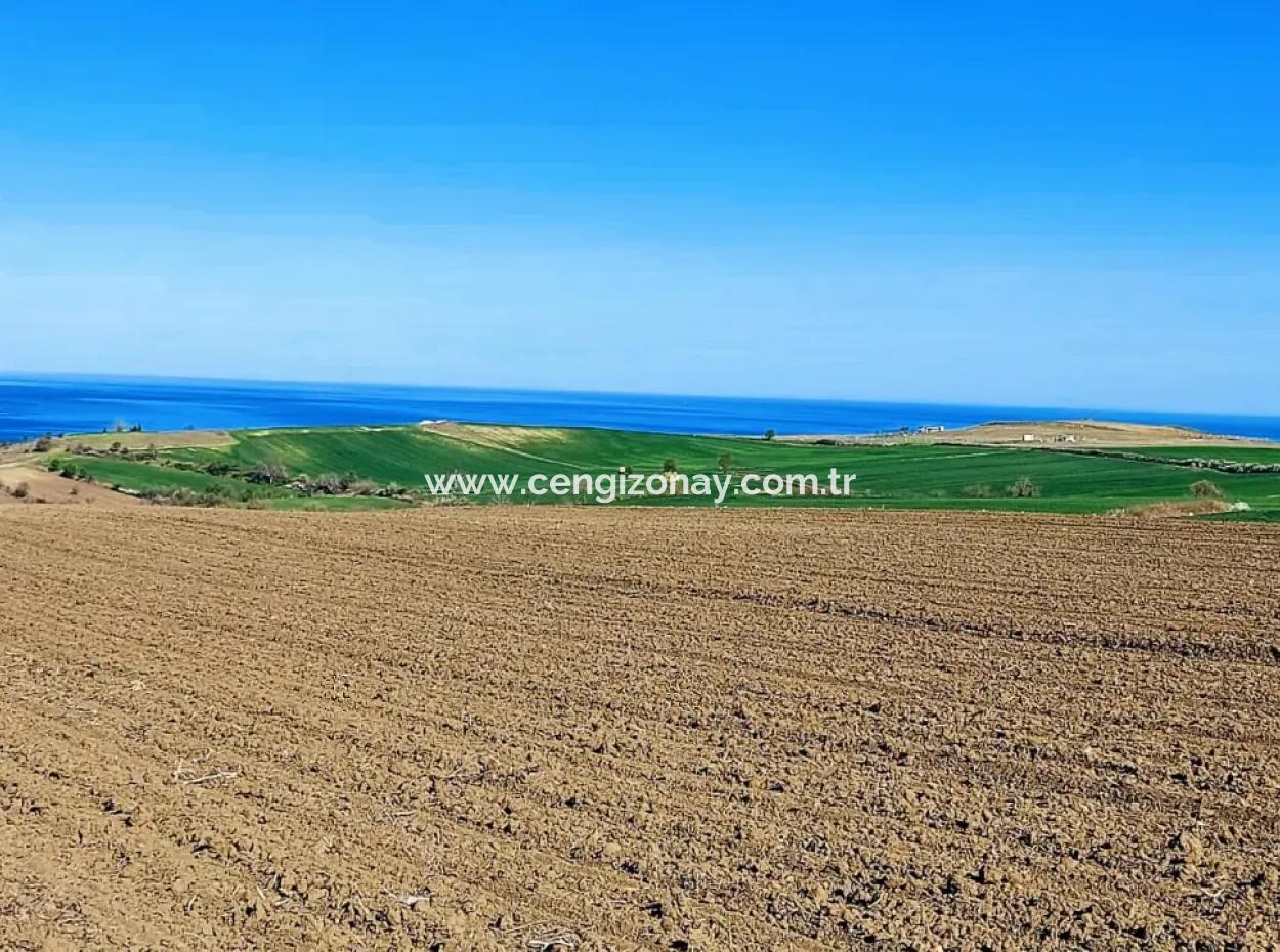 Tekirdag Barbarosta Luxusvilla Projekt Yap. Geben Sie Den Bauunternehmern Eine Wohnung Und Bauen Sie Eine Gewinnbringende Villa Mit Vollem Meerblick